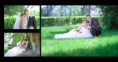 /album/fotogalereya/ks019-jpg/