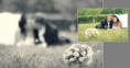 /album/fotogalereya/ks024-jpg/